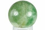 Polished Green Fluorite Sphere - Madagascar #306146-1